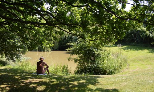 Relax by one of the ponds